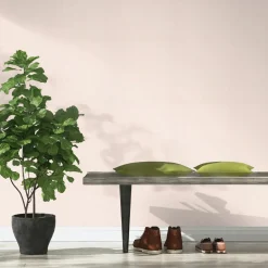 Outlet Bambino XIX tapet ensfarvet