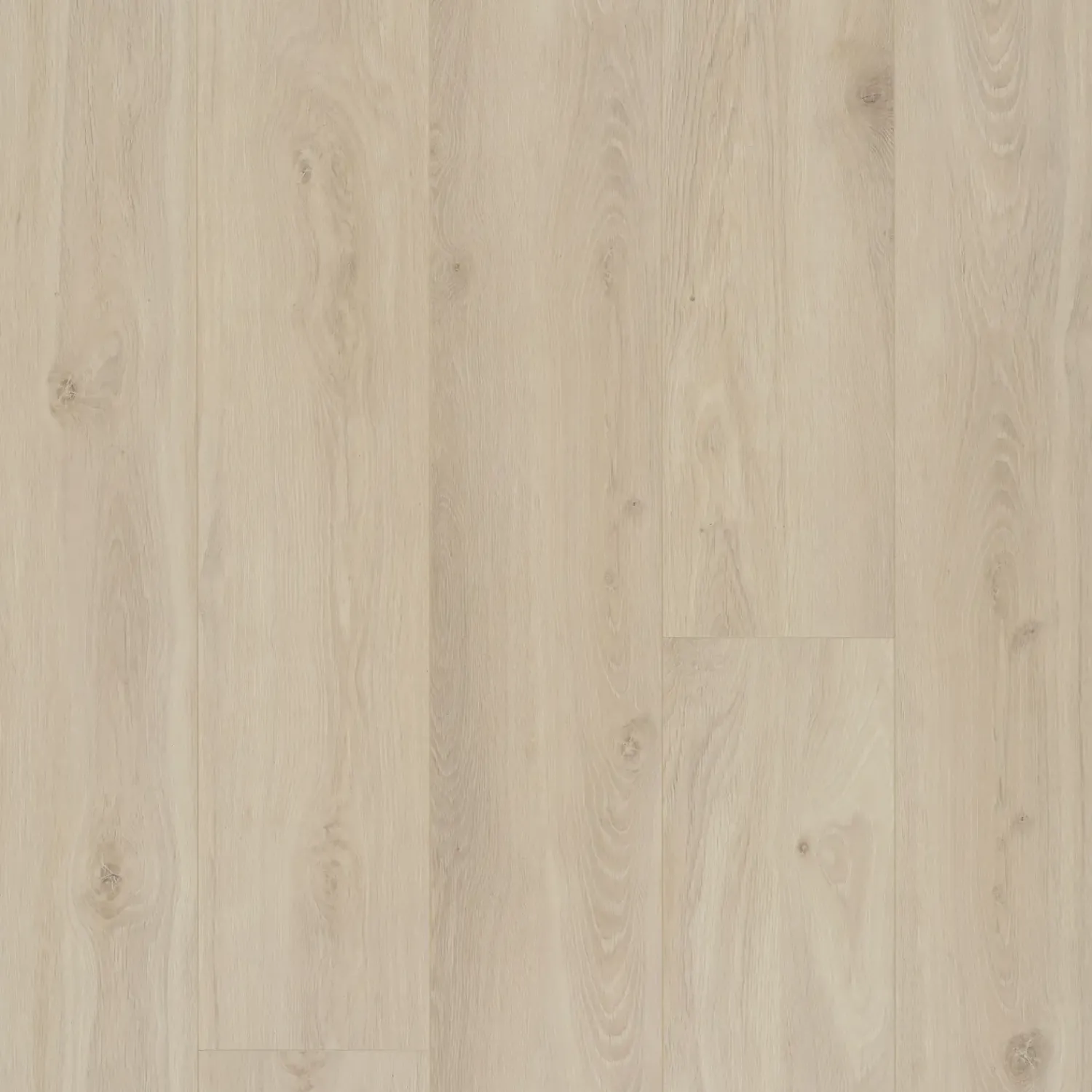 BerryAlloc Laminatgulve^Ocean 8 XL laminatgulv 8x241x2038 mm bloom sand natur