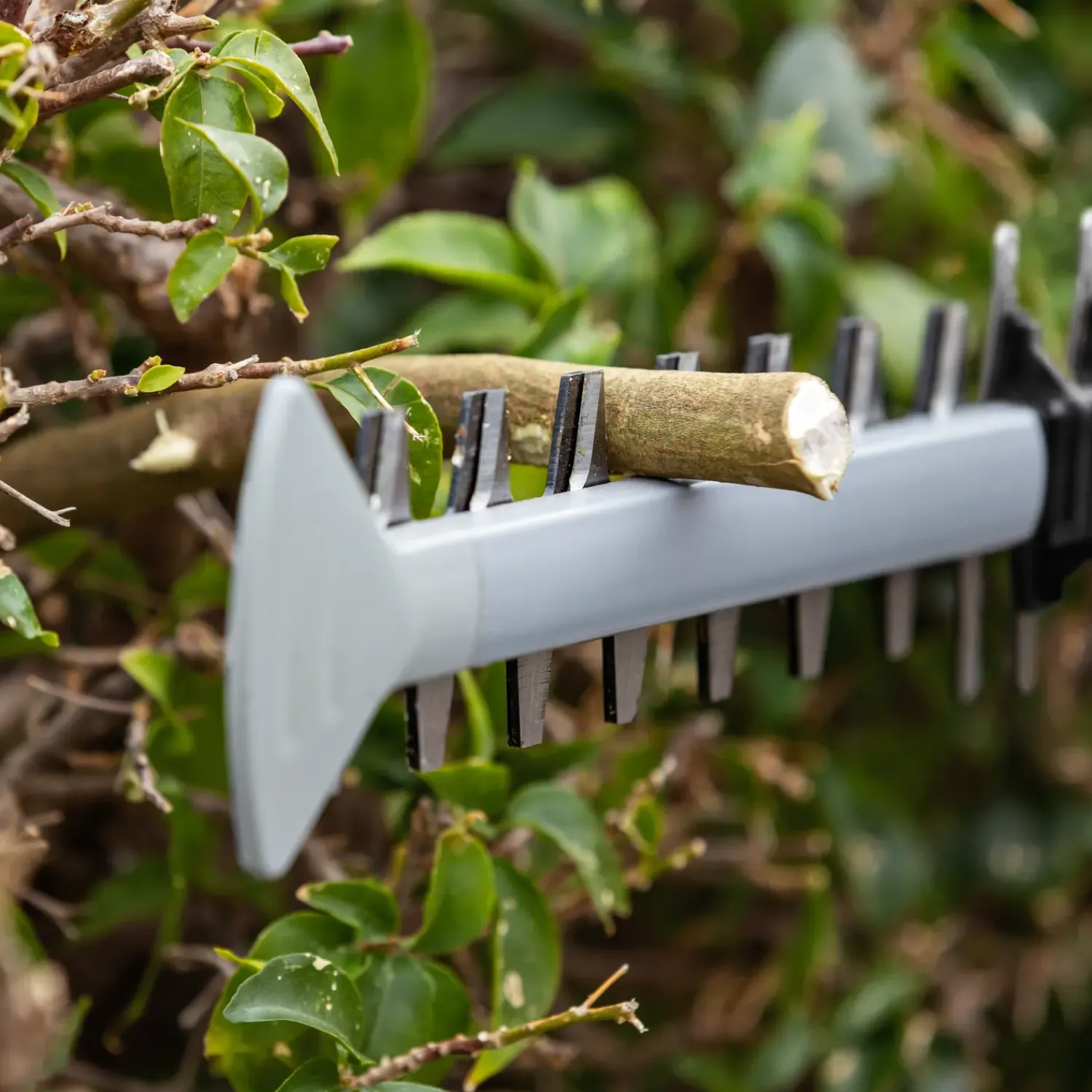 Outlet Bosch Professional Bosch GHE 18V-60 18V hækkeklipper 60 cm solo