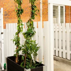 Plantekasser^Cubic Blomsterkasse med hjul 120x50x45 cm sort