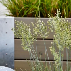 New Cubic Blomsterkasse med hjul 120x50x45 cm gråbrun