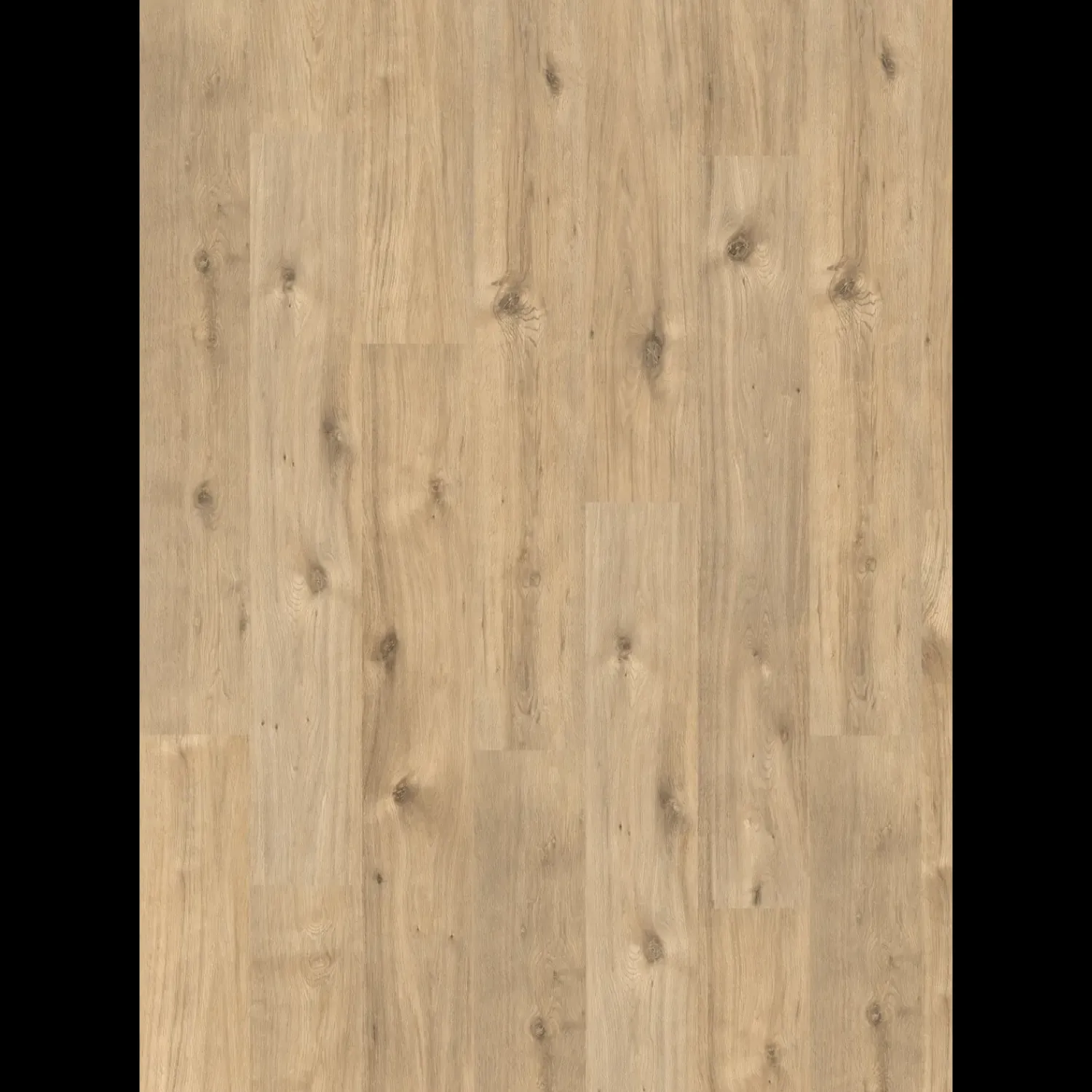 Egger Laminatgulve^Basic laminatgulv EBL006 Achensee