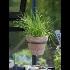 New Elmholm Standard drivhus antracit med hærdet glas, inkl. sokkel 11,66 m²