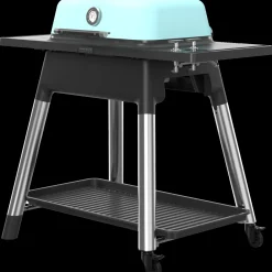 Clearance Everdure Furnace gasgrill mint