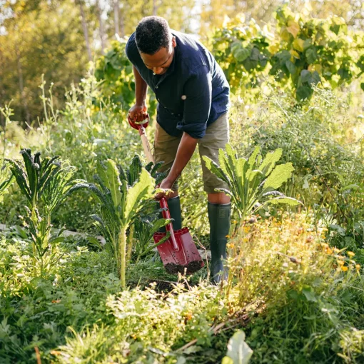 Fiskars Haveredskaber^spade med afrundet blad