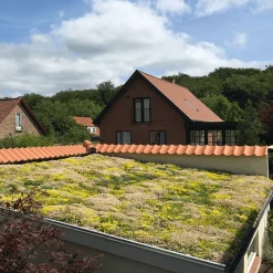 Best Growtek SedumMax