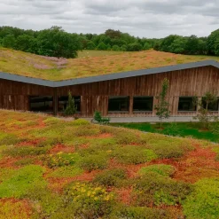 Best Growtek SedumMax