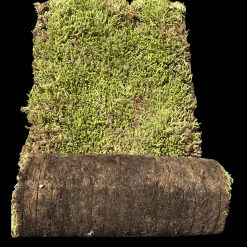 Sedumtag^Growtek Sedummåtter