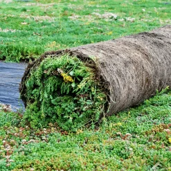 Sedumtag^Growtek Sedummåtter