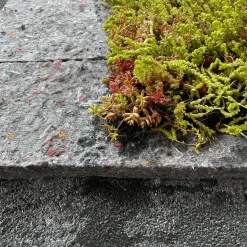 Outlet Growtek SedumPlus