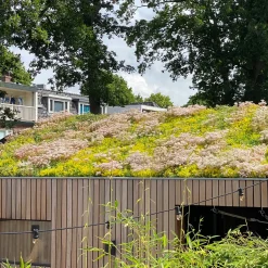 Outlet Growtek SedumPlus