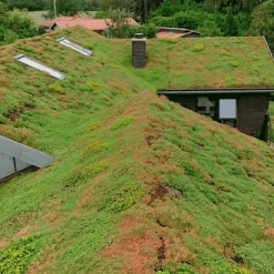 Outlet Growtek SedumPlus