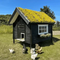 Outlet Growtek SedumPlus