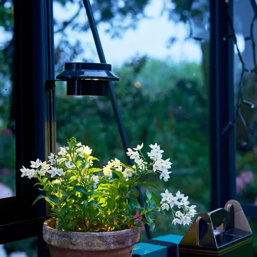 Online Halls Garden Room drivhus sort med hærdet glas, inkl. sokkel 12,9 m²