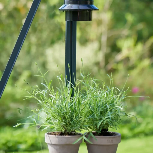 Online Halls Garden Room drivhus sort med hærdet glas, inkl. sokkel 12,9 m²