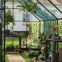 New Halls Qube+ 812 drivhus sort med hærdet glas, 9,9 m²