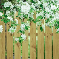 Hegnsbrædder^Hegnsbrædder gran trykimprægneret 19 x 100 mm x 2,4M