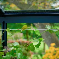 Juliana drivhus rullegardin sort 67,5x200 cm - 2 stk.