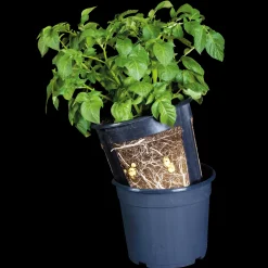 Plantekasser^Kartoffelpotte12 ltr. sort