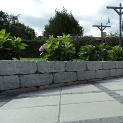 Best RBR Kopsten koks standard - 10x10x5 cm