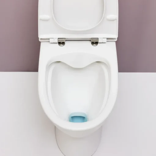 Best Laufen Pro-N toilet m/skjult P-lås hvid