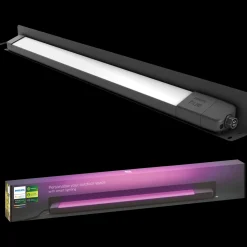 Philips Hue Havelamper^Amarant udendørs projektør 20W sort