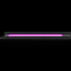 Philips Hue Havelamper^Amarant udendørs projektør 20W sort