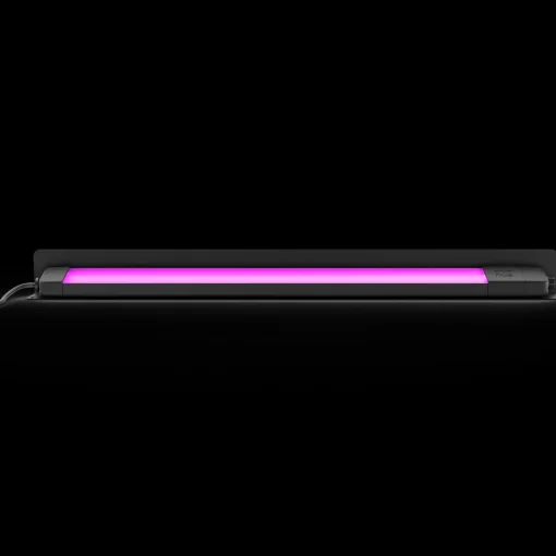 Philips Hue Havelamper^Amarant udendørs projektør 20W sort