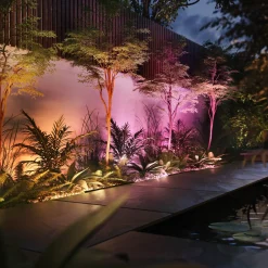 Philips Hue Havelamper^Amarant udendørs projektør 20W sort