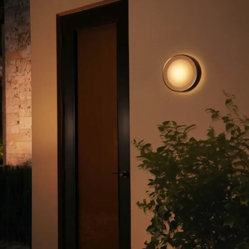 Clearance Philips Hue Daylo udendørs væglampe 15W sort