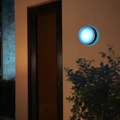 Clearance Philips Hue Daylo udendørs væglampe 15W sort