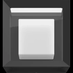 Philips Hue Udendørs Væglamper^Econic udendørs væglampe 15W sort