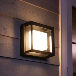 Philips Hue Udendørs Væglamper^Econic udendørs væglampe 15W sort