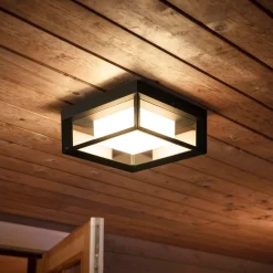 Philips Hue Udendørs Væglamper^Econic udendørs væglampe 15W sort