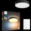 Philips Hue Loftlamper^Enrave M plafond Ø38,1 cm 19,2W sort