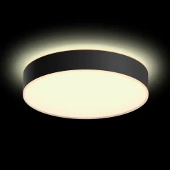 Philips Hue Loftlamper^Enrave M plafond Ø38,1 cm 19,2W sort