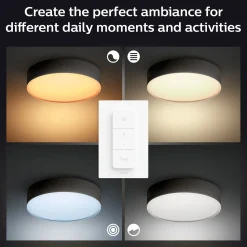 Philips Hue Loftlamper^Enrave M plafond Ø38,1 cm 19,2W sort