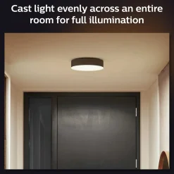 Philips Hue Loftlamper^Enrave M plafond Ø38,1 cm 19,2W sort