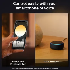 Philips Hue Loftlamper^Enrave M plafond Ø38,1 cm 19,2W sort