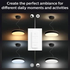 Online Philips Hue Enrave pendel Ø42,5 mm 33,5W sort