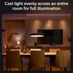 Online Philips Hue Enrave pendel Ø42,5 mm 33,5W sort