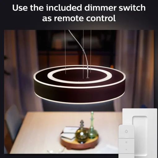 Online Philips Hue Enrave pendel Ø42,5 mm 33,5W sort