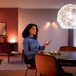 Philips Hue Diverse Led-Pærer^LED pære E27 9,5W A60 hvid LED