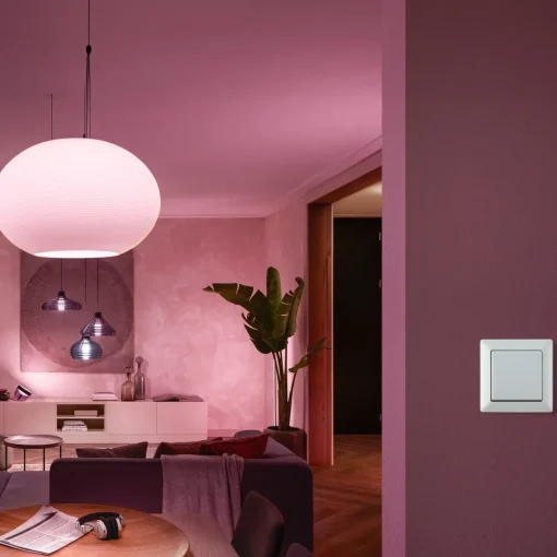 Philips Hue Stikkontakter Og Afbrydere^vægkontakt modul hvid