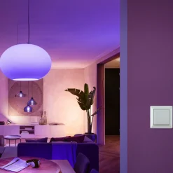 Philips Hue Stikkontakter Og Afbrydere^vægkontakt modul hvid