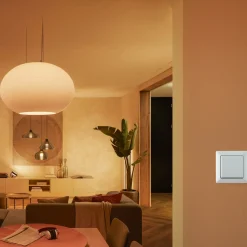Philips Hue Stikkontakter Og Afbrydere^vægkontakt modul hvid