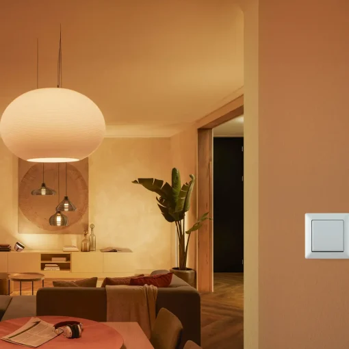 Philips Hue Stikkontakter Og Afbrydere^vægkontakt modul hvid