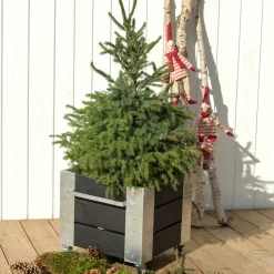 Plus Cubic blomsterkasse med hjul 46x50x45cm sort