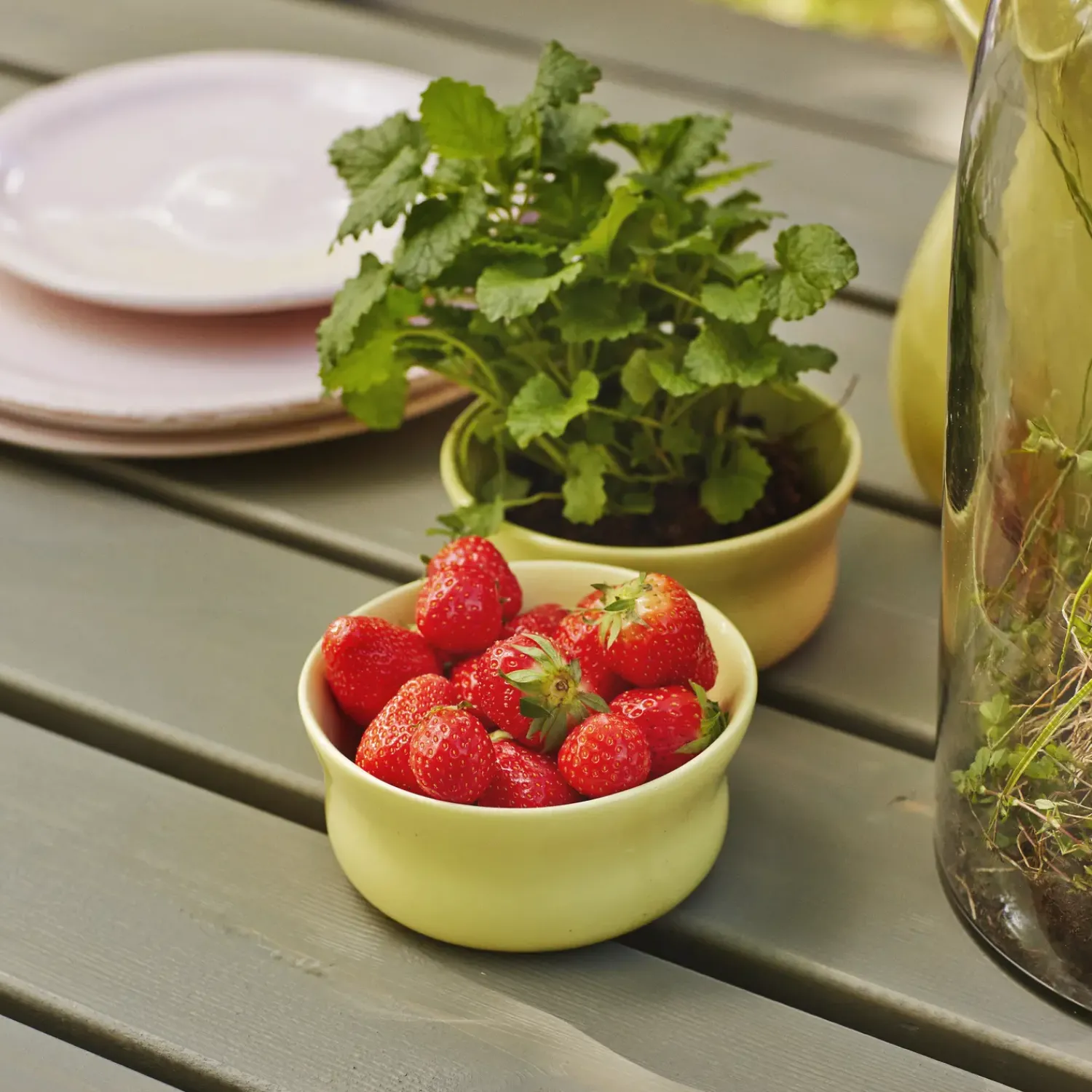 Plantekasser^Plus Cubic blomsterkasse med hjul 46x50x45cm gråbrun