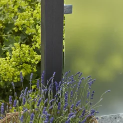 Plus Stål- Og Glashegn^glashegn 90x91 cm frosted